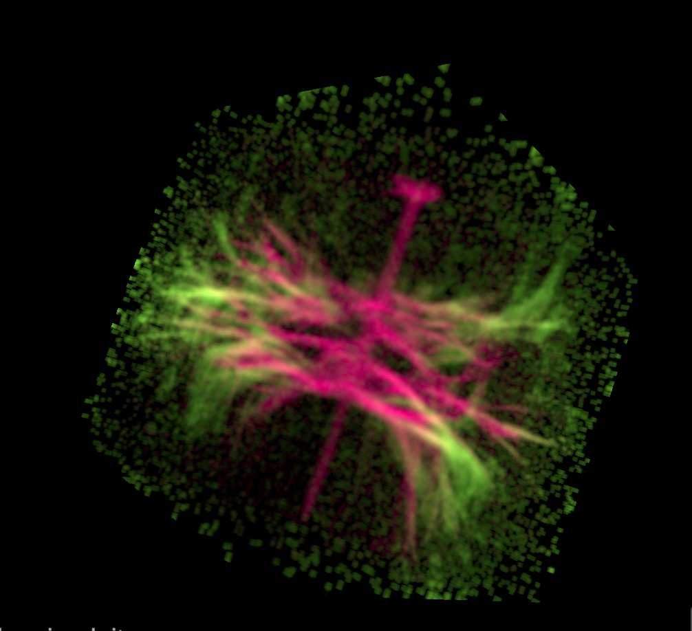 Demonstration screenshot of my 3D Physarum Simulation